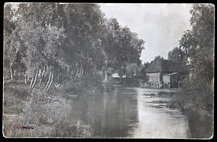 Окрестности деревни Батурино. Черниговская губерния. 1913 г. Архив ПКО РГО – ОИАК.