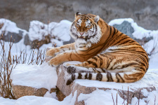 Фото: Олег Богданов, участник фотоконкурса РГО "Самая красивая страна"