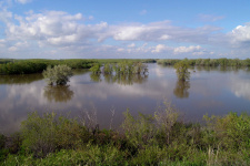 Высокое половодье на реке Урал. Фото А.Чибилёва