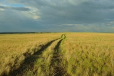 Фото: Александр Чибилев