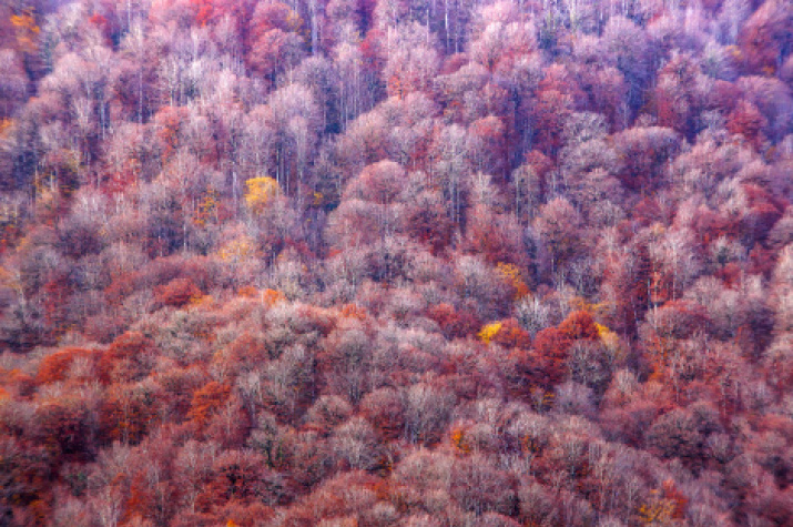 "The Wall". Photo: Sergey Shabanov, the finalist of the III photo contest "The Most Beautiful Country"