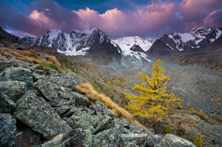 Фото: Александр Ермолицкий 