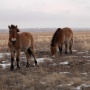 Фото предоставлено Оренбургским отделением РГО