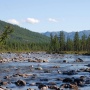 Река Учур в верхнем течении. Фото авторов статьи.