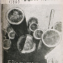 Ивашкевич Б.А. Леса ДВК. На службу социализму. Хабаровск, 1933. 63 с.